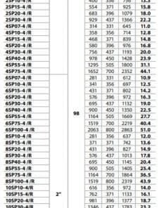 Bomba de agua sumergible de pozo City Pumps SP4 2